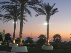 rps20140319_071225_607