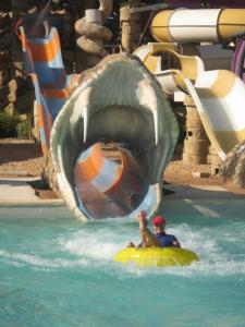 rps20140319_071431_284